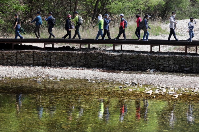 대전시 계룡산 국립공원 수통골을 찾은 등산객들이 산행을 하고 있다(제공:News1)