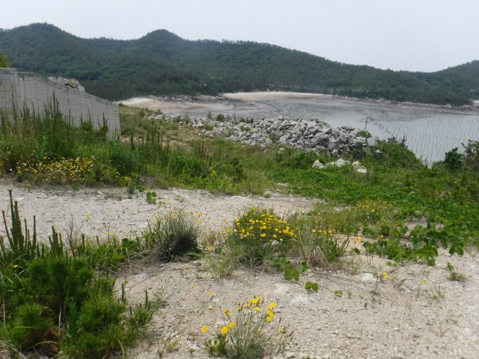 도서해안 산림복원 인위적 훼손지(제공:산림청)