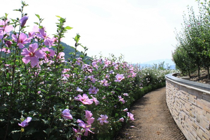 최우수상(강원도 홍천), 무궁화수목원(제공:산림청)