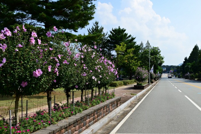 우수상(국립대전현충원), 대전 현충원 가로수(제공:산림청)