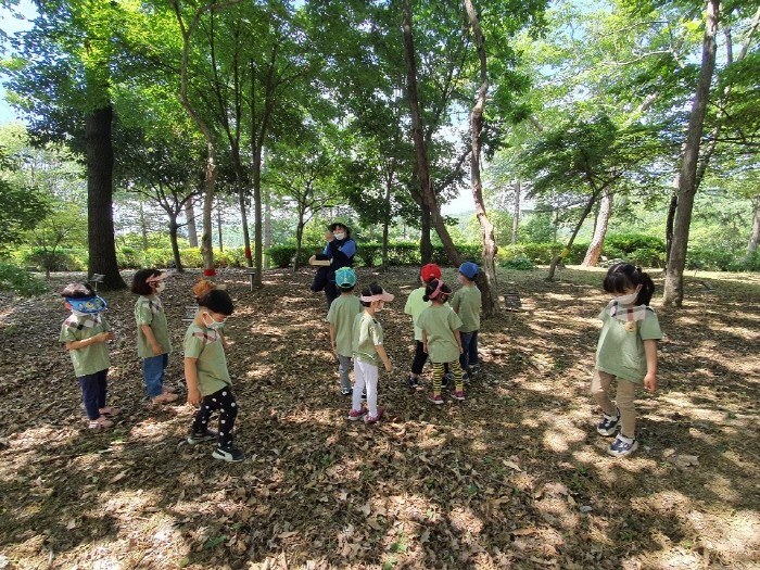 숲 교육프로그램 운영 사진(제공:국립산림과학원)