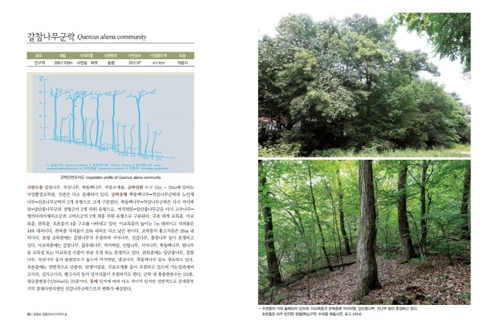 갈참나무군락(제공:국립수목원)