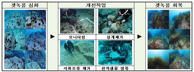 독도 해양생물 다양성 회복사업 개요(자료=해수부)